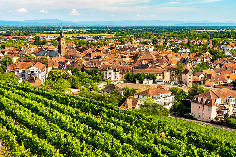 Obernai Frankreich Willkommen