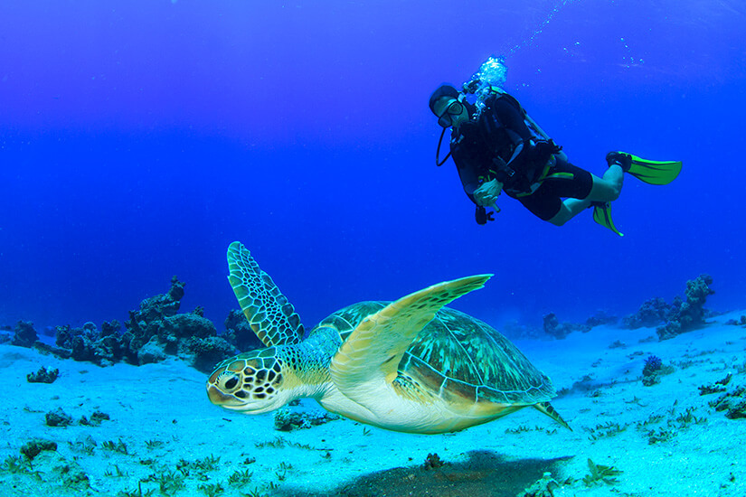 Koh Kood Thailand Tauchen