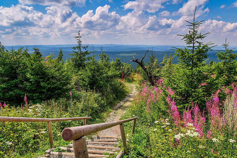 Oberwiesenthal Deutschland Wandern