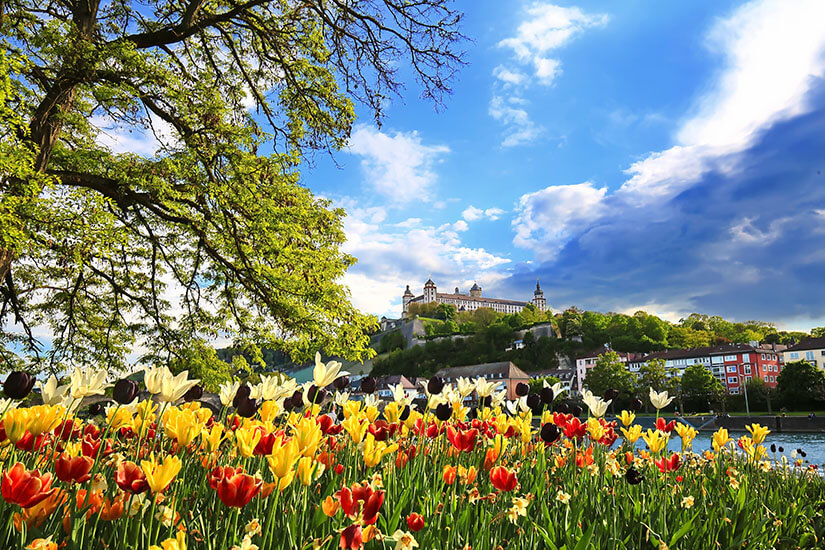 Wuerzburg Fruehling