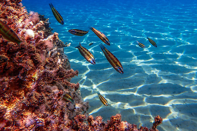 Schnorcheln Griechenland