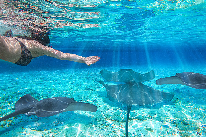 Schnorcheln Bora Bora