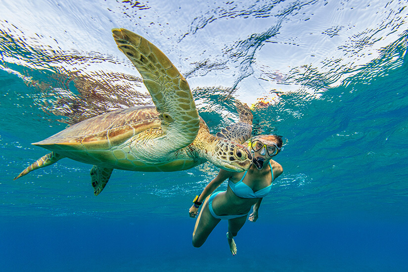 Schnorcheln Seychellen