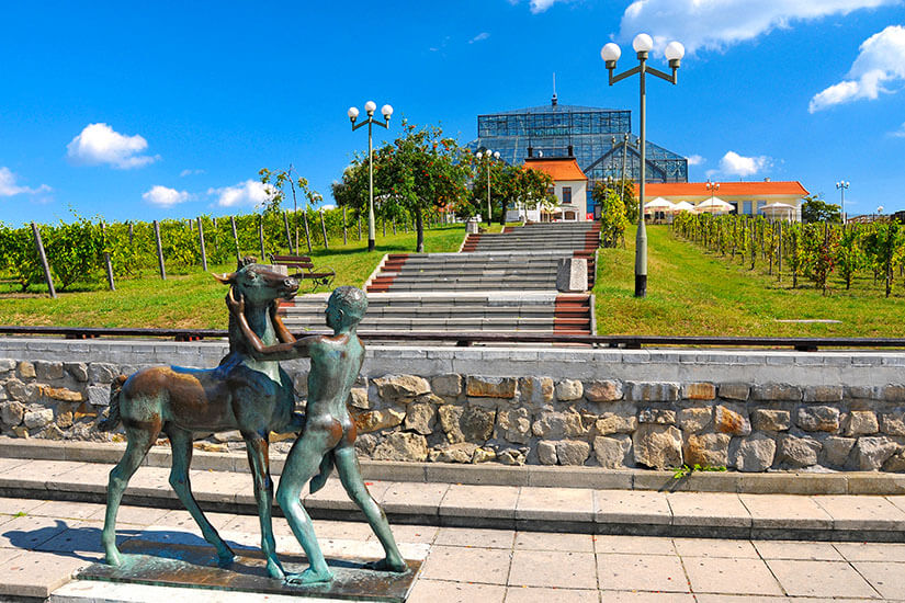 Zielona Gora Palmenhaus