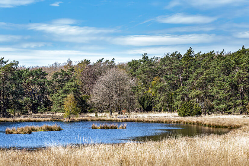 Assen Niederlande Wetter