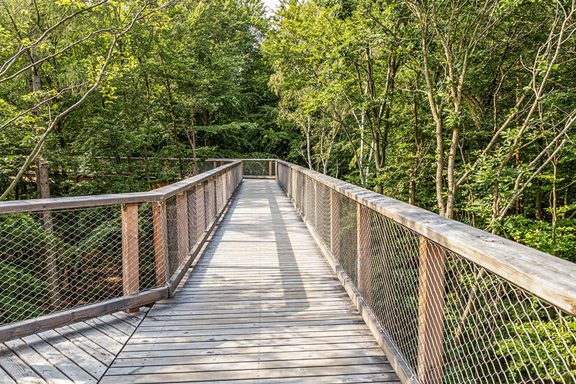 Usedom Baumwipfelpfad