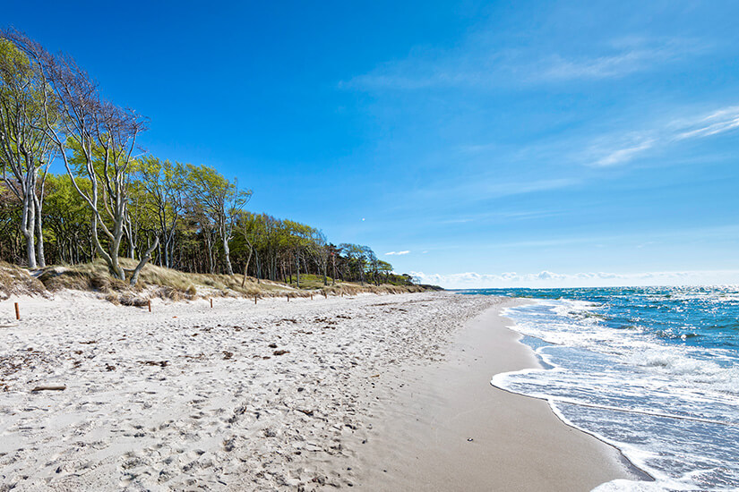 Prerow Ostsee Weststrand
