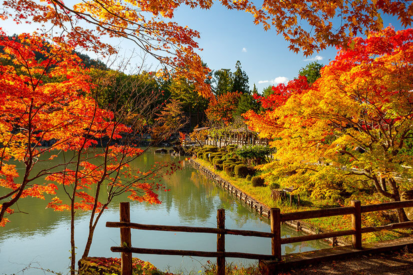 Takayama Japan Herbst