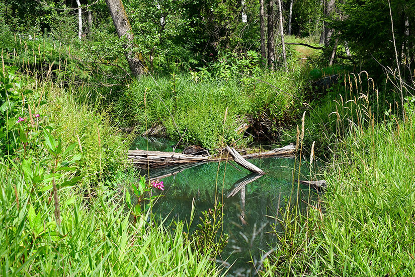 Rumpelbachschlucht Teich