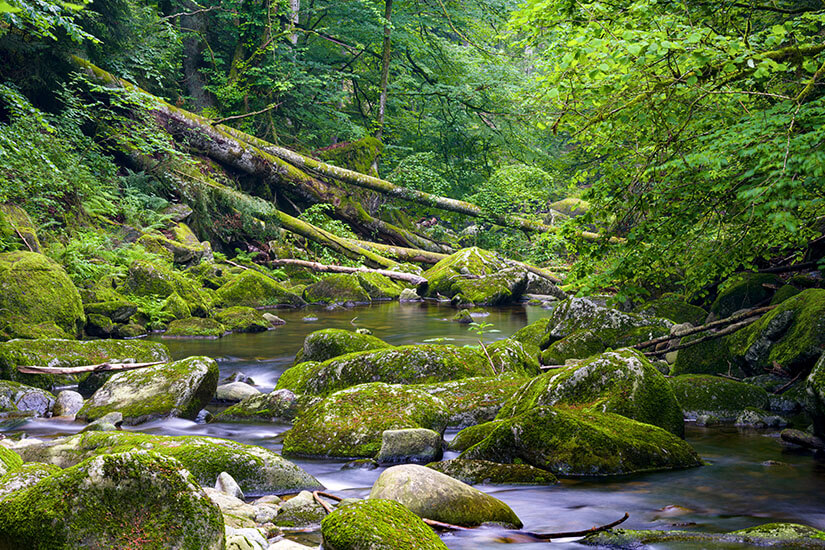Buchberger Leite Schlucht