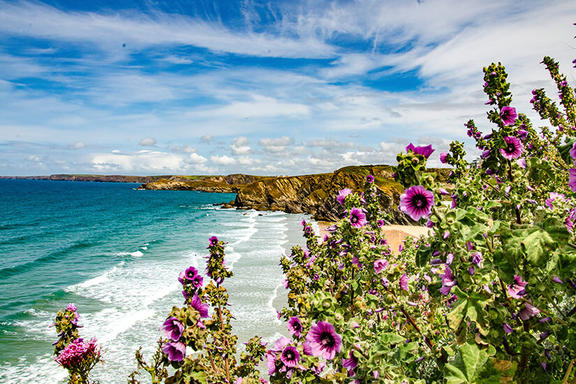 Cornwall Fruehling
