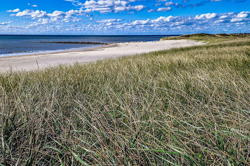Vejle Daenemark Strand