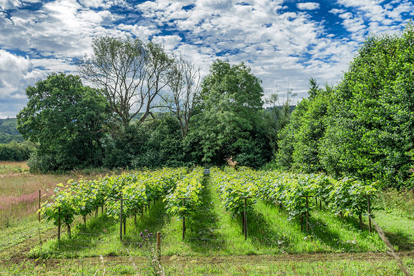 Vejle Daenemark Ausflug