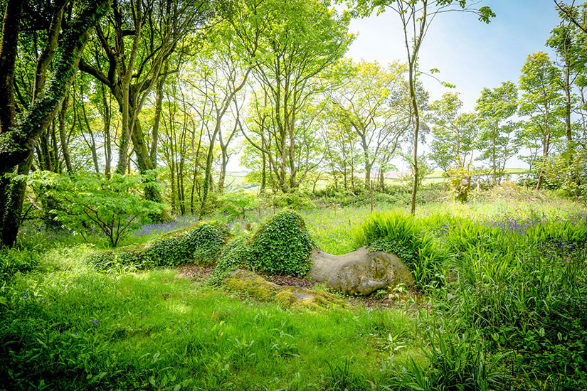 Cornwall Lost Gardens