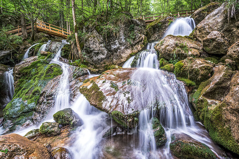 Wiener Neustadt Myrafaelle