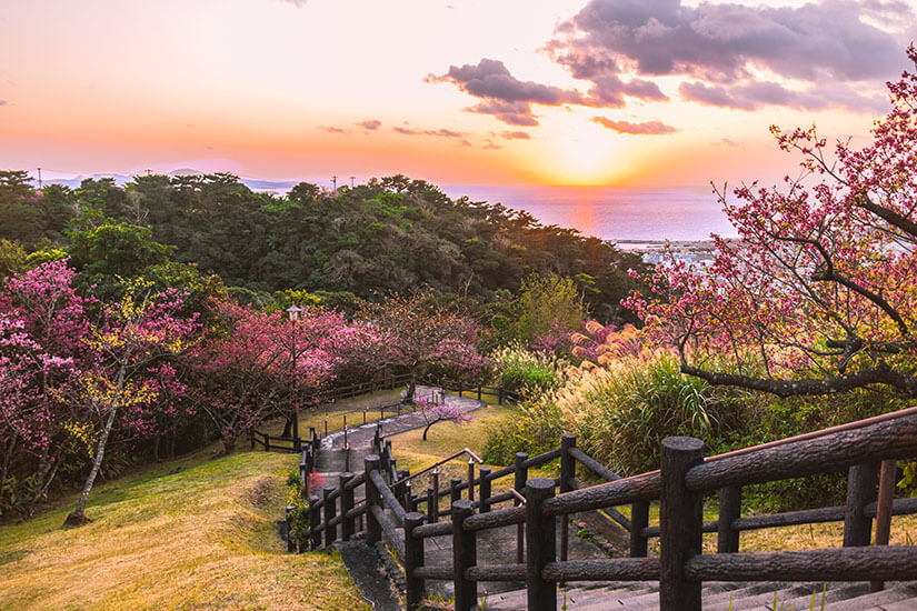 Blue Zones Okinawa