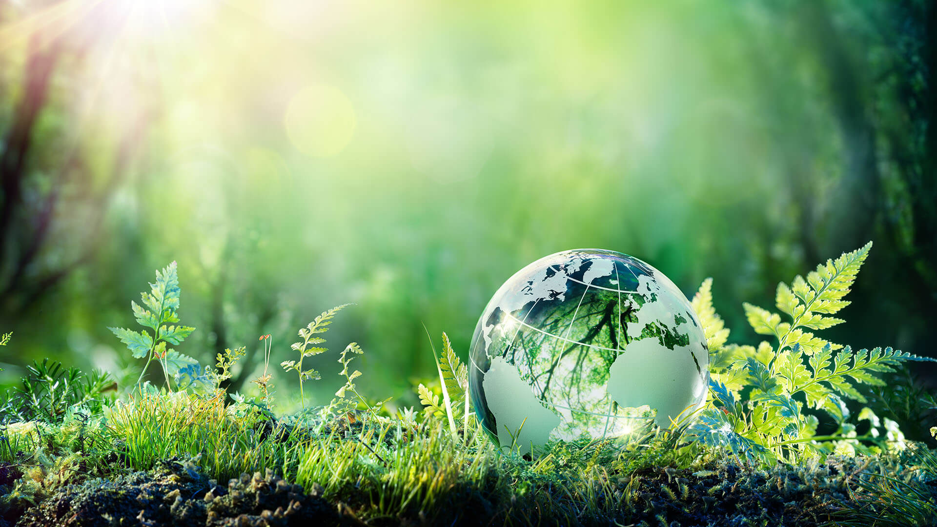 Sustainability Umwelt