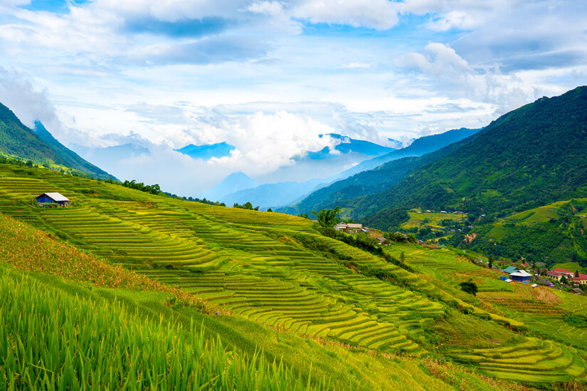 Sapa Reisterrassen