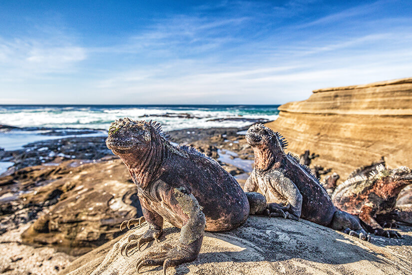 Schoenste Inseln der Welt Galapagosinseln