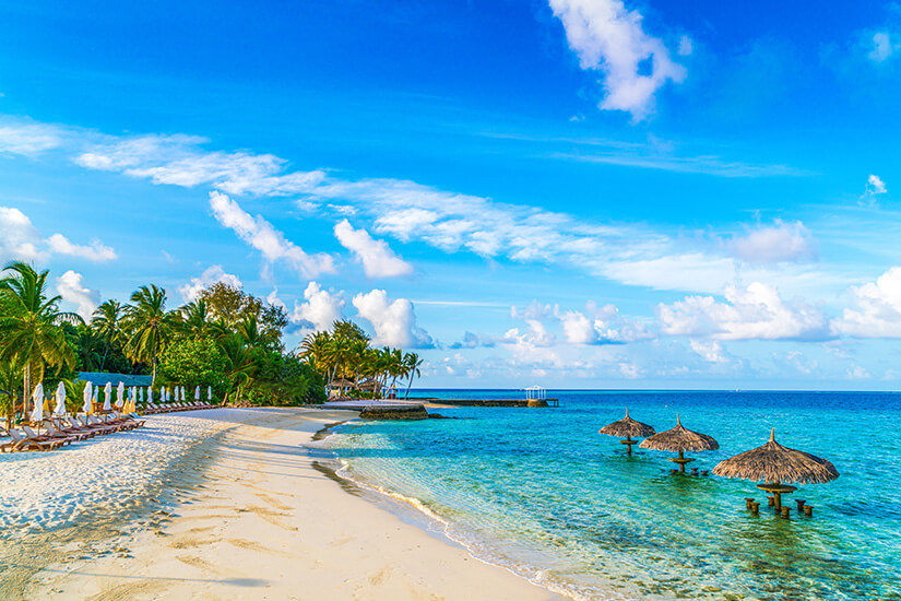Malediven Strand Palmen