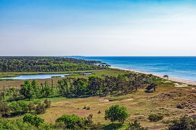Zingst Deutschland Nationalpark