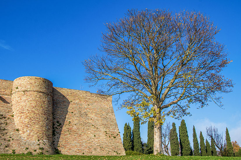 Urbino Fortezza