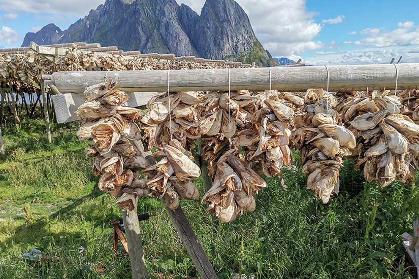 Reine Norwegen Sakrisoy