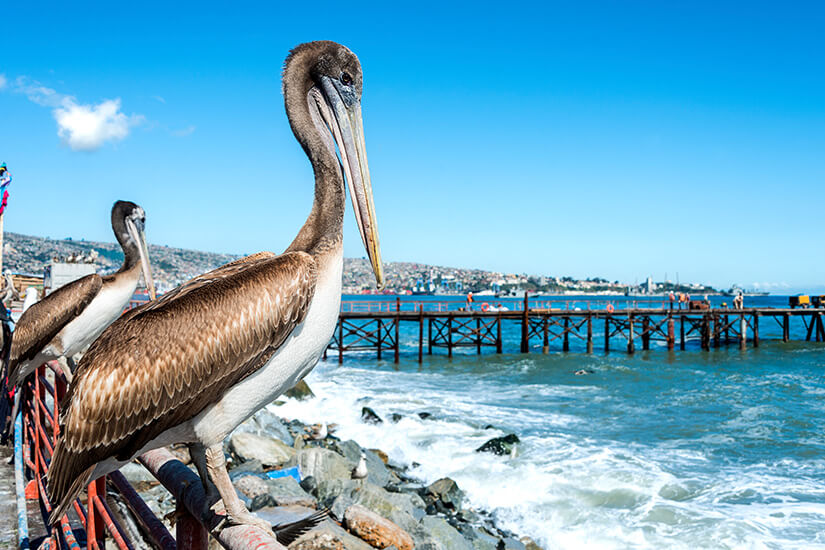 Valparaiso Hafen