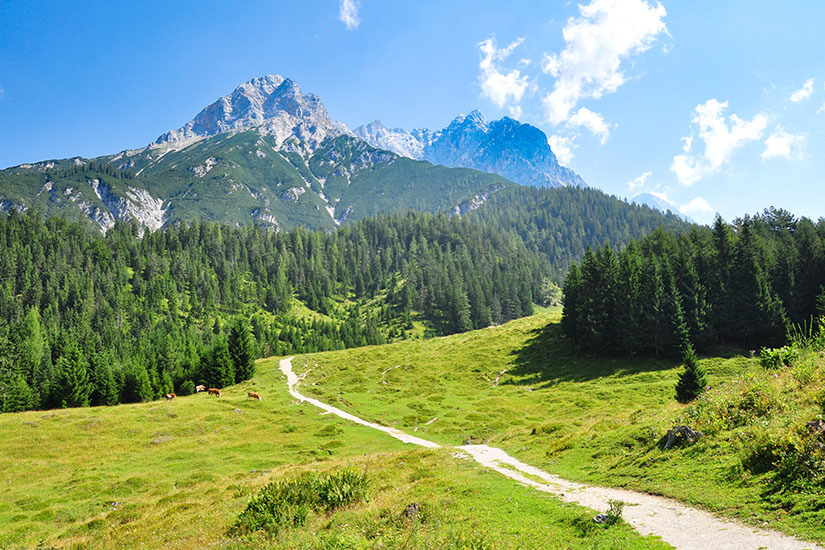 Saalfelden am Steinernen Meer Oesterreich Wandern