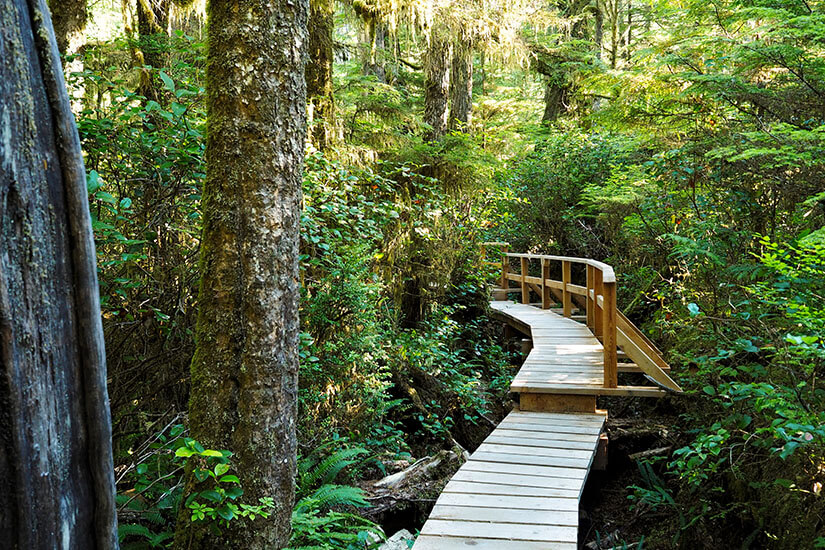 Tofino Kanada Trail