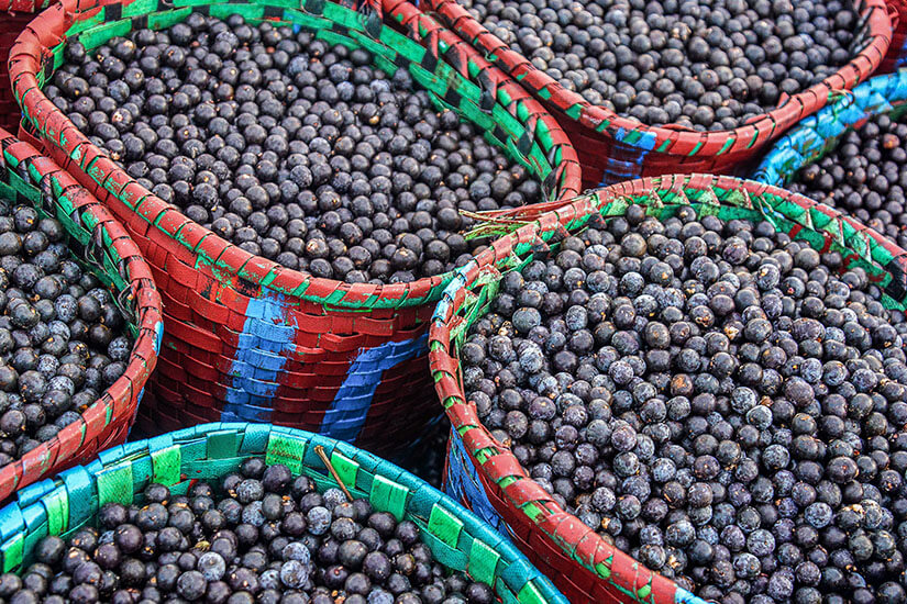 Flechtkörbe gefüllt mit den violetten Acai-Beeren. Belem Acai