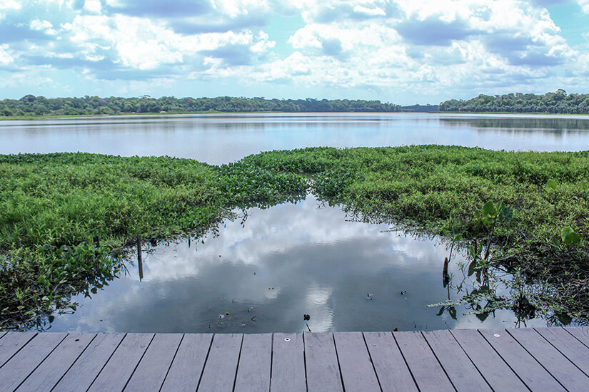 Naturpark mit Holzsteg und großflächigem Gewässer. Amazonas Utinga Nationalpark