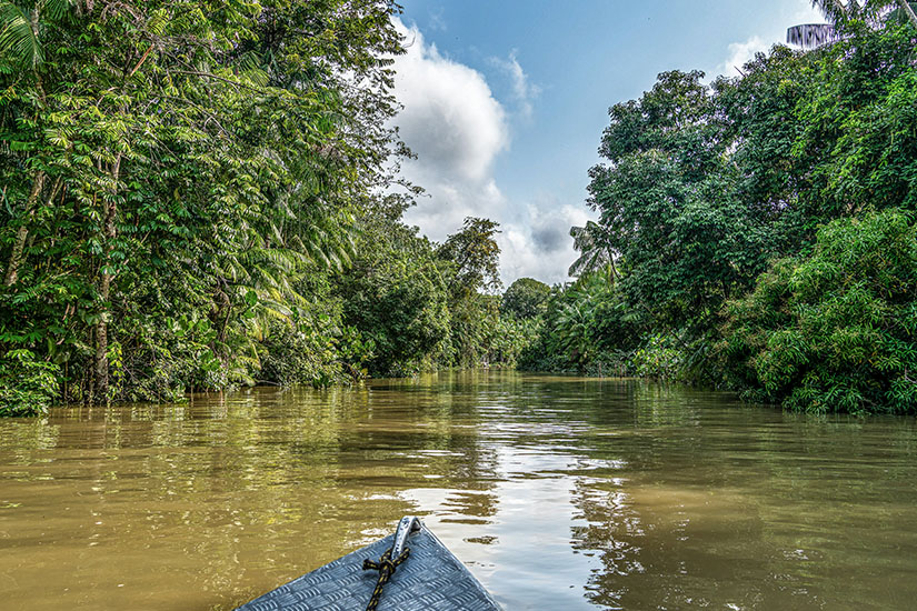 Spitze eines Kanus auf einem Fluss. Zu den Seiten ist grüne Vegetation zu sehen. Brasilien Amazonas