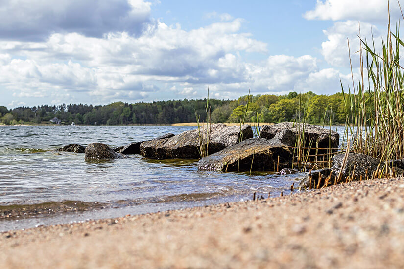 Ein flacher Strand aus Sand und kleinen Steinchen führt zu ruhigem Wasser, das sanft an die Uferfelsen schwappt. Am Rand wachsen einige Halme und dahinter liegt dichter Wald unter einem wolkigen Himmel. Vaxholm Strand