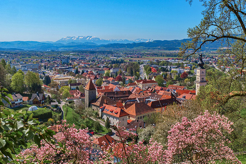 Blick über die roten Dächer von Wolfsberg. Im Hintergrund sind Berge zu sehen, im Vordergrund blühen Bäume. Wolfsberg Stadt