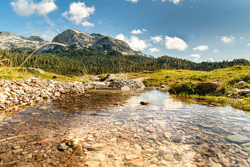 Naturpark mit grüner Vegetation und Gipfeln. Im Vordergrund ist ein felsiges Flussbett zu sehen. Dolomiten Nationalpark