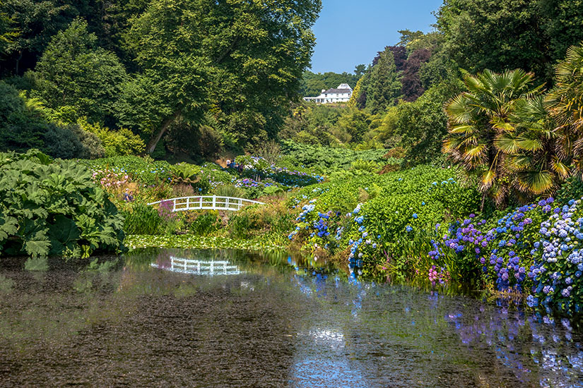Cornwall Trebah Garden