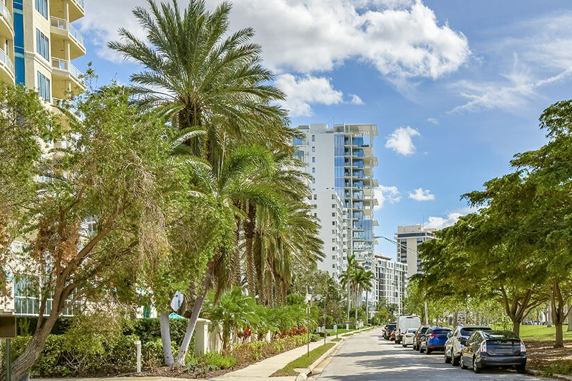 Eine von Palmen gesäumte Straße führt durch Sarasota. Am Ende ist ein Hochhaus zu sehen. Sarasota USA Spaziergang