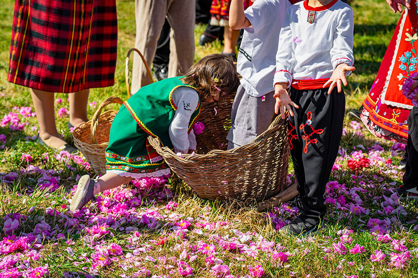Rosenernte Bulgarien