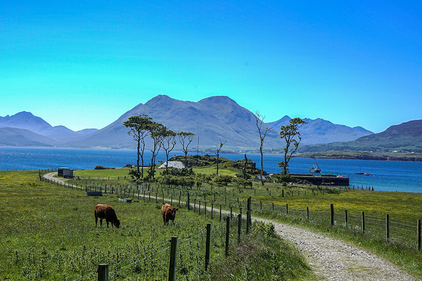 Schottland Inseln Raasay