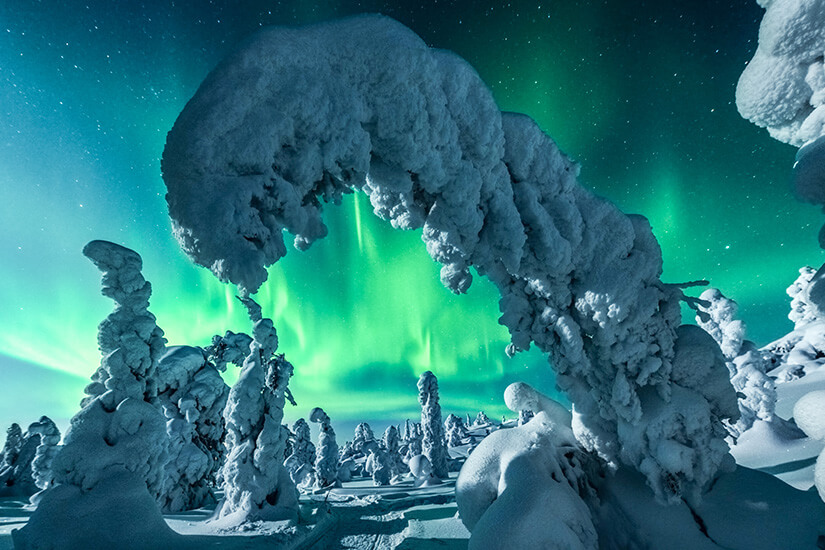 Schneebeladene Bäume formen bizarre, skulpturartige Gebilde im Vordergrund. Grün leuchtende Nordlichter ziehen sich über den Nachthimmel und erhellen eine tief verschneite Landschaft. Kuusamo Polarlichter