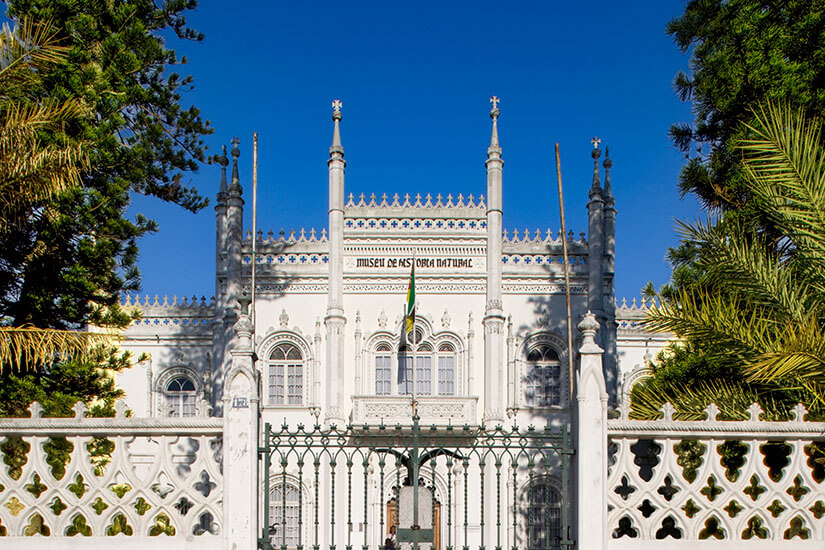Ein weißes, reich verziertes Gebäude mit spitzen Türmchen und ornamentalen Fenstern steht hinter einem dekorativen Zaun. Über dem Eingang ist eine Beschriftung zu sehen, die auf ein Naturkundemuseum hinweist. Palmen und hohe Bäume rahmen die Fassade vor einem tiefblauen Himmel ein. Maputo Naturkundemuseum
