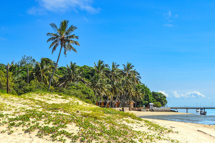 Ein heller Sandstrand mit niedriger Vegetation liegt vor einer Reihe hoher Palmen. Rechts führt ein Steg ins ruhige Wasser, daneben sind kleine Boote zu sehen. Der Himmel ist klar und blau. Mosambik Inhaca