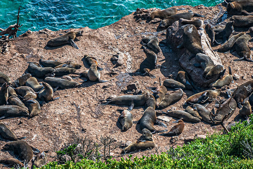 Plettenberg Bay Robberg