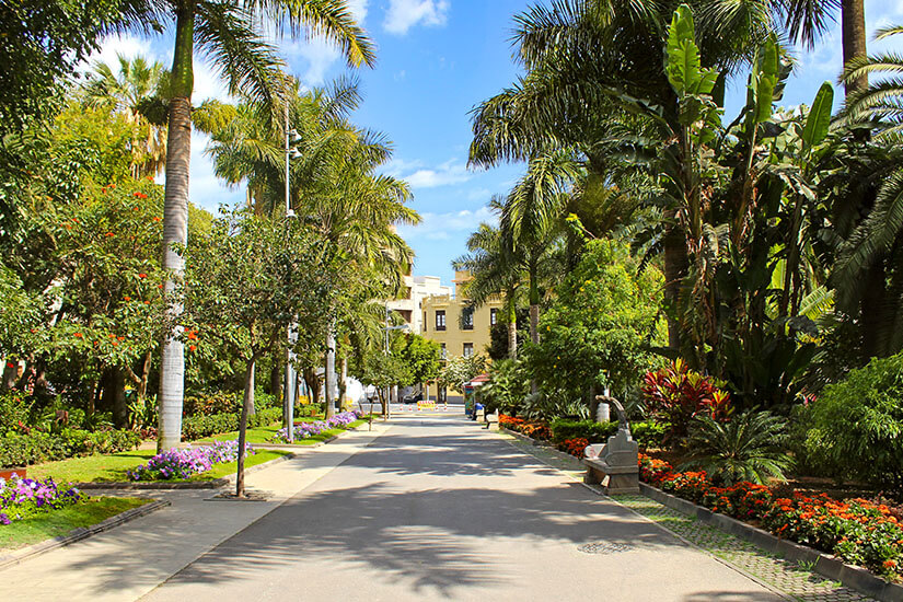 Santa Cruz de Tenerife Parque Garcia Sanabria
