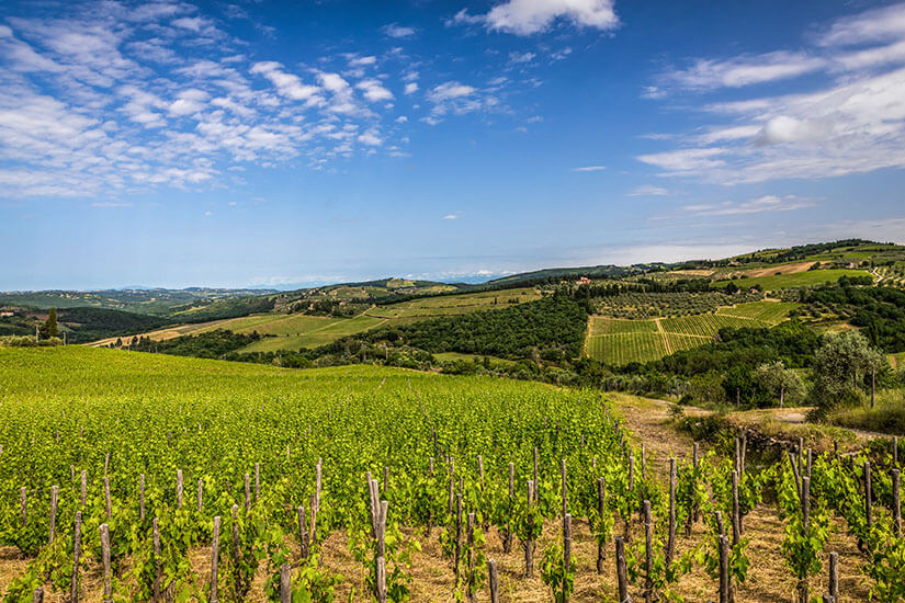 Empoli Italien Chianti