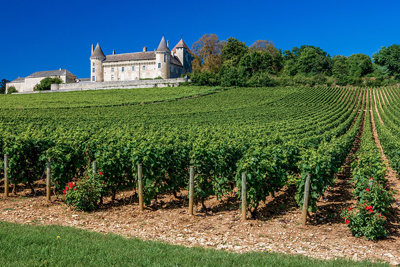 Loiretal Frankreich Wein
