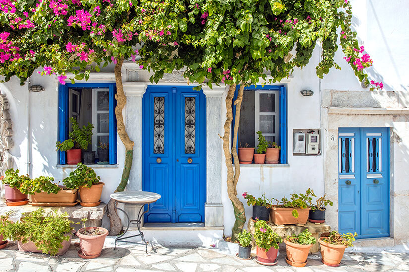 Vor dem weißen Haus sieht man blaue Türen und Fensterläden. Darüber hängen pinke Blüten und spenden etwas Schatten. Viele Blumentöpfe stehen vor der Haustür. Tinos Griechenland Pyrgos
