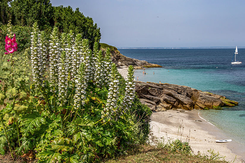 Ein Sandstrand umgeben von grüner Vegetation grenzt an klares hellblaues Wasser. Felsen umgeben die Abschnitte Lorient Frankreich Strand