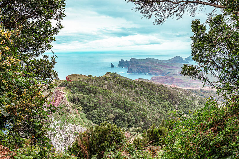 Ein schmaler Wanderweg führt entlang steiler Klippen hoch über dem Atlantik. Die Route verläuft zwischen felsigen Hängen und dichter Vegetation, mit weitem Blick auf das offene Meer. Machico Portugal Natur